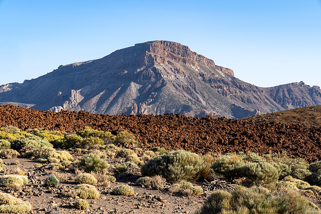 Teide volcano land