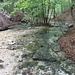 Oasis in the Woods - The River at Grotta Delle Fate