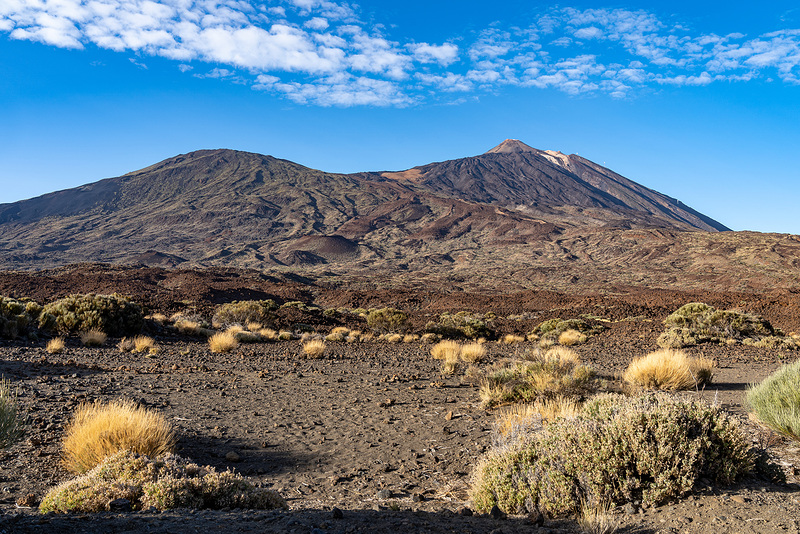 Teide volcano land