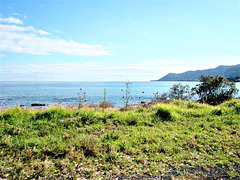 Shoreline Above Te Kaha