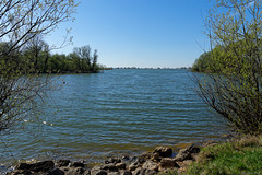 Naturschutzgebiet im Neuen Rhein Delta (© Buelipix)