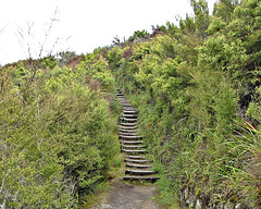 The Steps Back Down From Lookout..