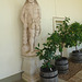 Blickling Estate- Statue in the Orangery