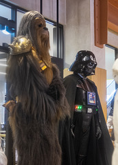 Chewbacca and Darth Vader