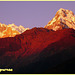 Annapurna - Népal