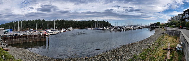 Nanaimo Harbor Stroll (+12 insets!)