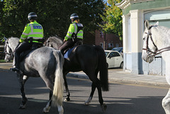 IMG 9314-001-Mounted Met Police 2