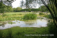 Friston Pond from the south 23 7 2009