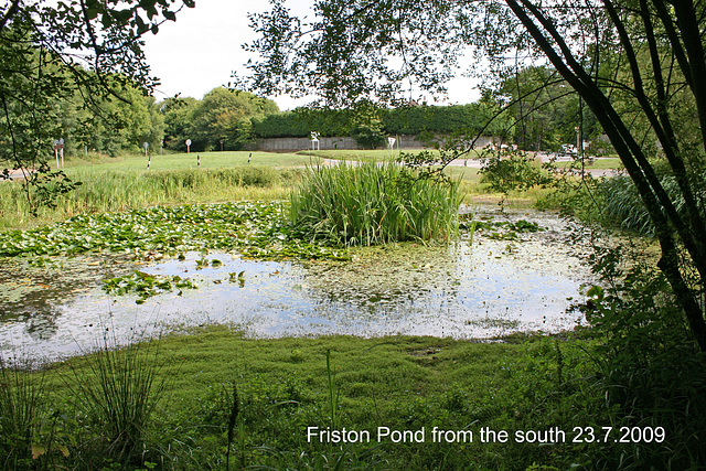 Friston Pond from the south 23 7 2009