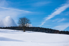 Winter bei Herrischried (© Buelipix)