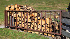 Holz + Zaun = kein Holzzaun