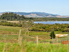 Lake Waikare.