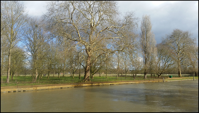 The Isis at Christ Church Meadow