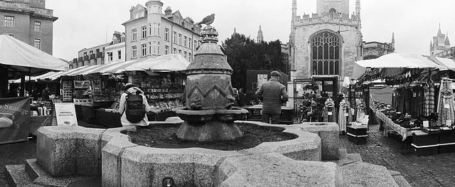 Cambridge market fountain
