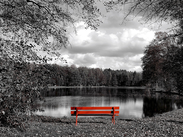 red bench