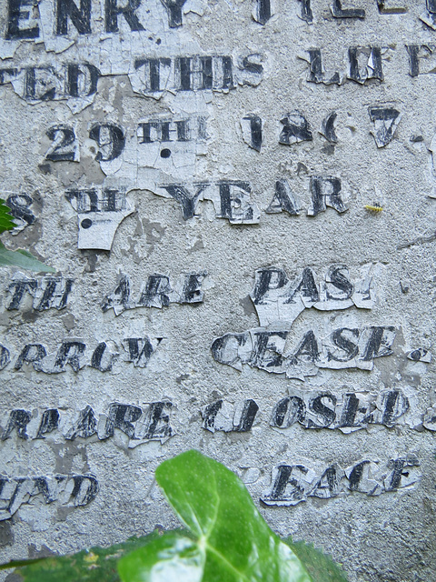 abney park cemetery, stoke newington, london.close up of plaster, paint and ?mastic infil that was common on c19 memorials