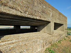 rye harbour nature reserve, sussex (1)one of two c20 pillboxes built in 1940