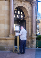 "The Ivy"