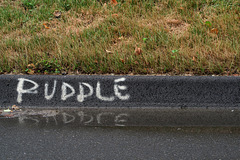 Puddle