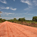 Transpantaneira Highway.  Dry season