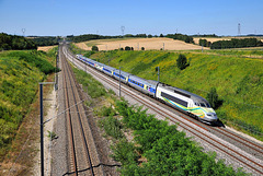 TGV italien pelliculé