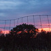 Fence, sunset, Hudson 2