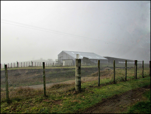 Fences in Fog.