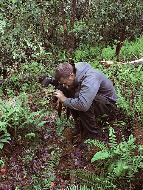 Alex Patton photographing orchids in South Carolina