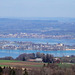 The largest island in Lake Constance