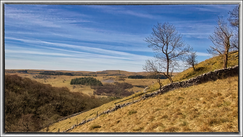 Another Dales View