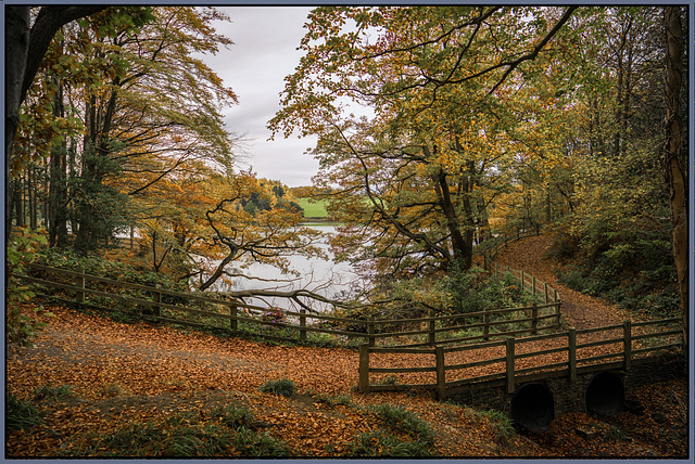 Autumn track by the dams - Chesterfield. UK.