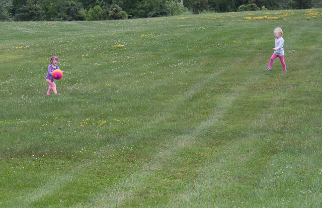 Girls with ball