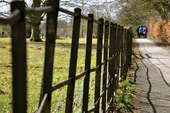 Parkland Fencing, Avebury