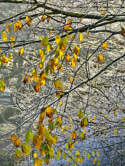 Autumn/Winter cascade