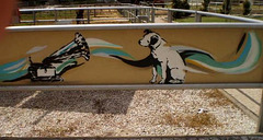 Graffiti in the equestrian centre.