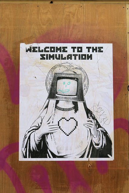 IMG 5060-001-Welcome to the Simulation