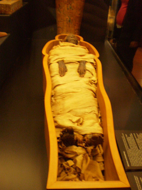 Preserved Egyptian mummy.
