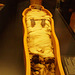 Preserved Egyptian mummy.