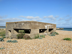 rye harbour nature reserve, sussex (10)one of two pillboxes built in 1940 to contain vickers machine guns at the mouth of the river rother, strong roofs to deflect bombardment