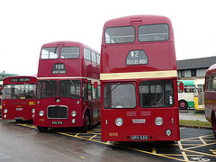 Preserved former Ribble buses at the RVPT Rally in Morecambe - 26 May 2019 (P1020400)