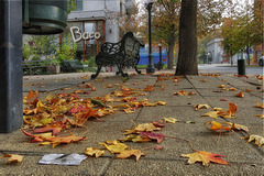 Fall leaves and bench