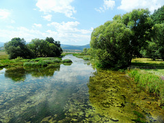 #1 - Petar Bojić - Cetina river - 4̊ 5points