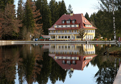 Waldsee in Lindenberg
