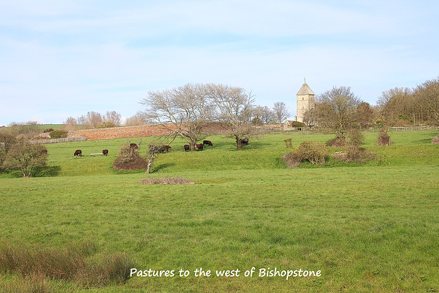 Bishopstone pastures from the west - 14.4.2016