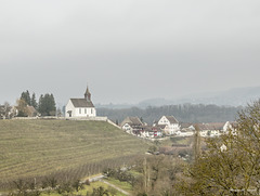 Dorfteil in Rheinau Kt Zürich