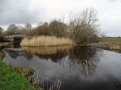 Winding Hole on the Montgomery Canal