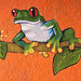 A Treeless Frog – Jungle Crocodile Safari, Tárcoles, Puntarenas Province, Costa Rica