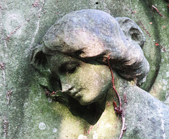 abney park cemetery, stoke newington, london,ellen louise schofield, +1934
