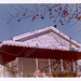 Cloyd in Front of the House, Xmas 1961