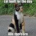 O&S (meme) - building cats